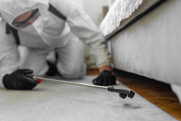 Professional Cockroach Control technician working in Whitesboro, NJ