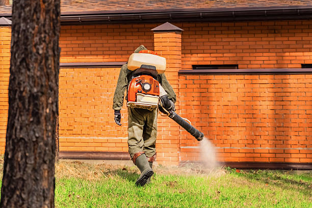 Trusted Cockroach Control service in Whitesboro, NJ - Nex Pest Control
